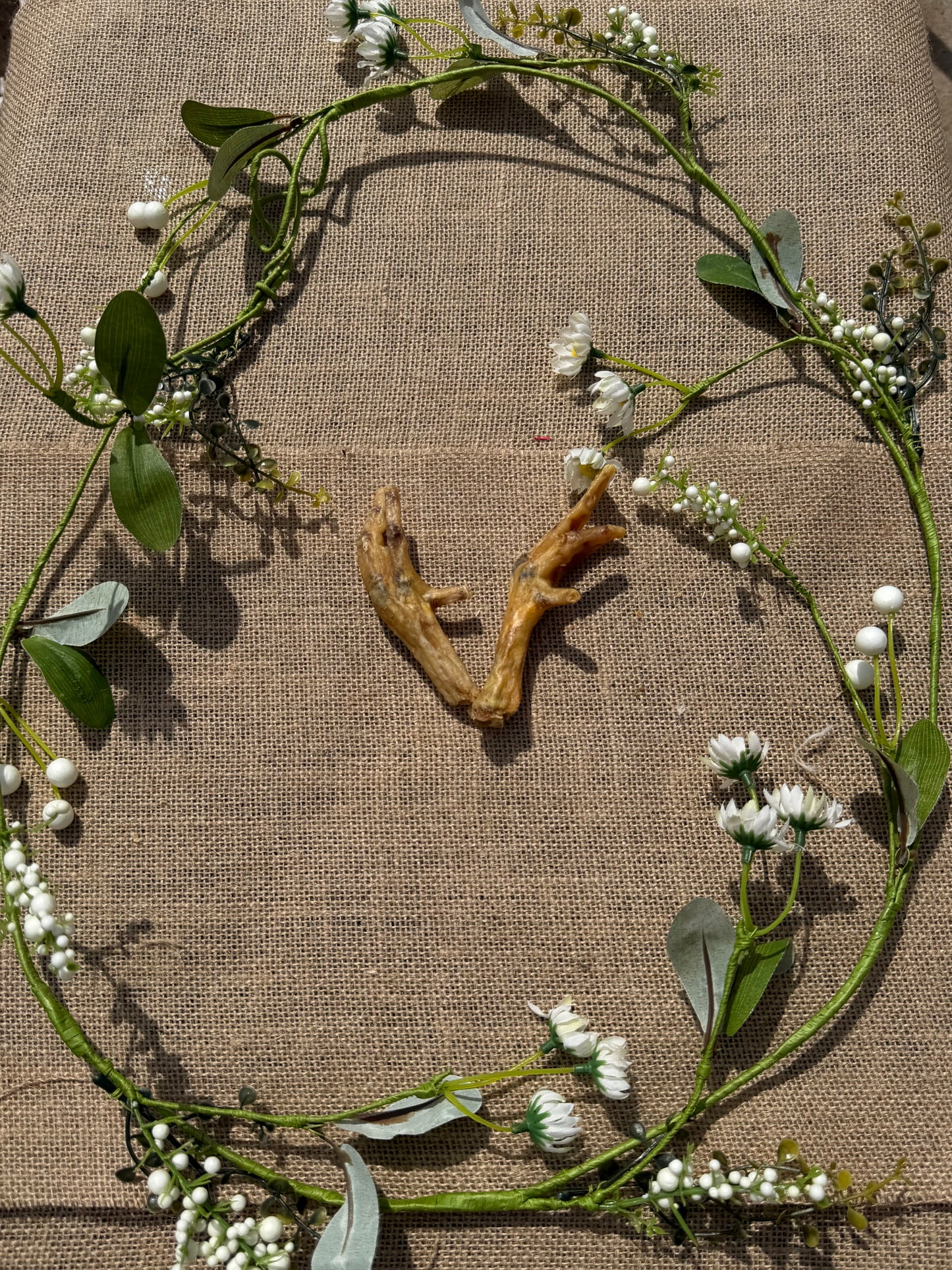 Dried chickens feet