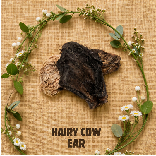 Hairy Cow Ear